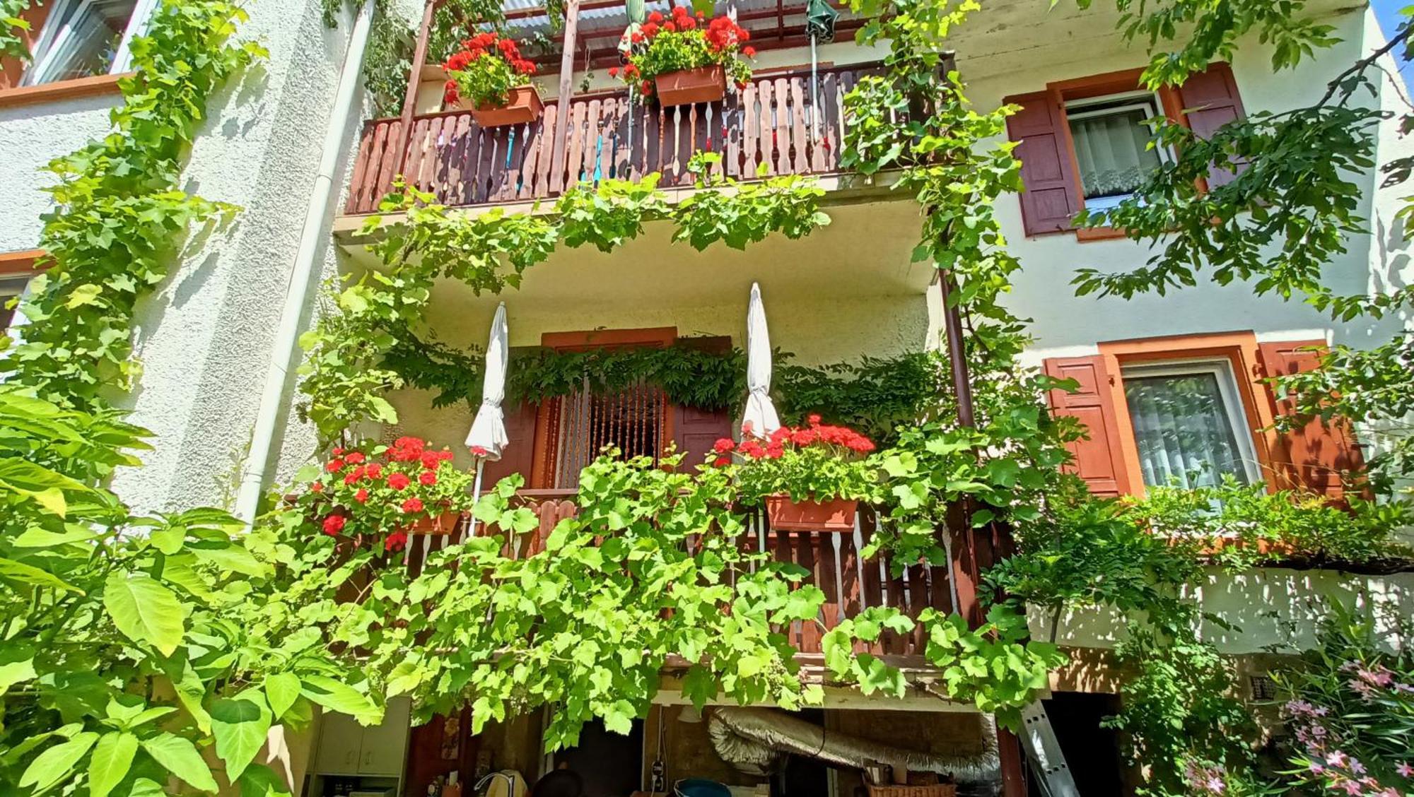Urlaub Mit Charme In Der Kleinsten Stadt Der Pfalz. Obermoschel Esterno foto