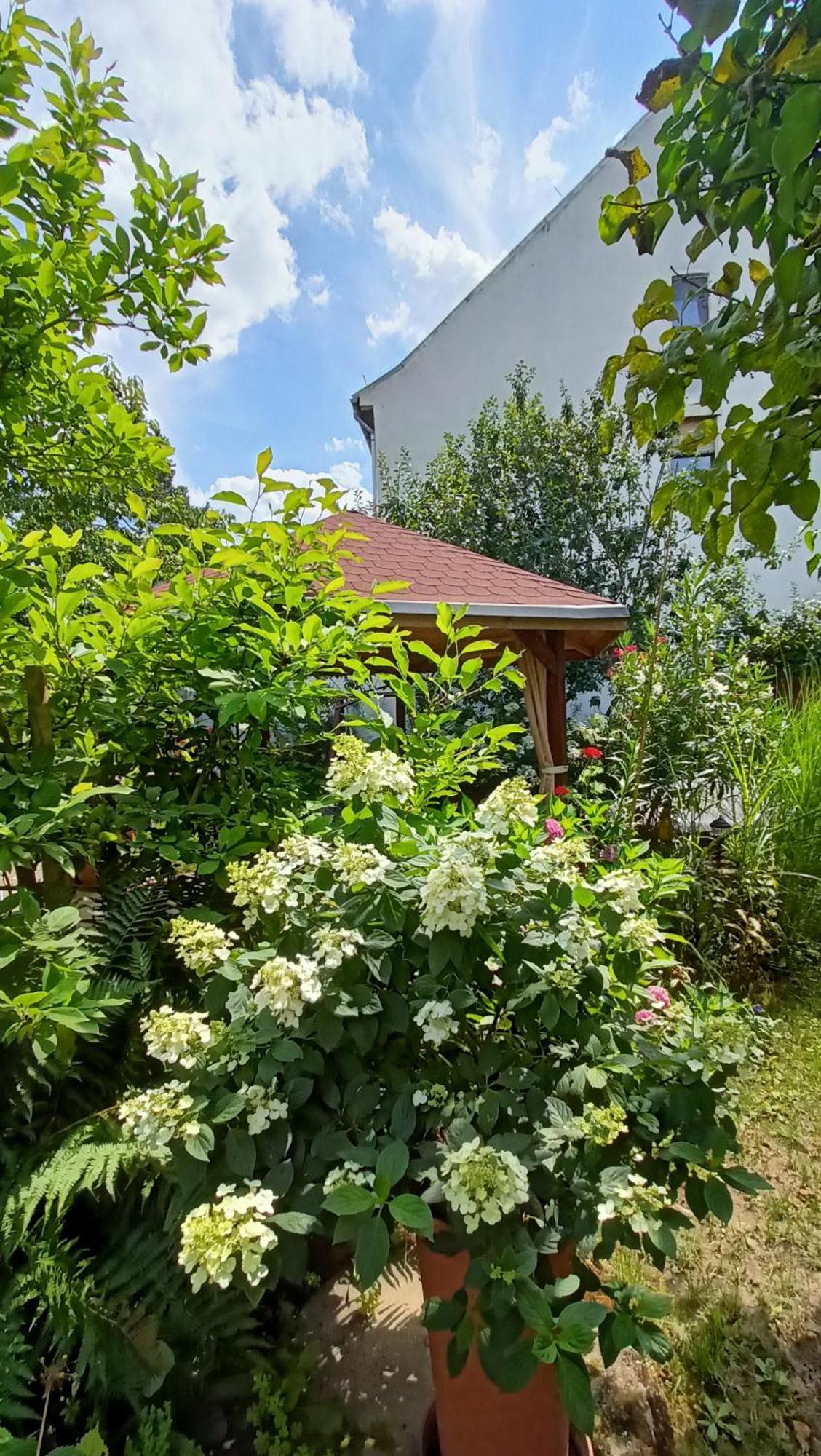 Urlaub Mit Charme In Der Kleinsten Stadt Der Pfalz. Obermoschel Esterno foto