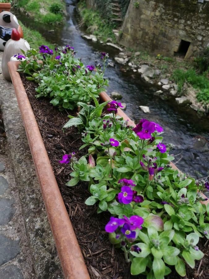 Urlaub Mit Charme In Der Kleinsten Stadt Der Pfalz. Obermoschel Esterno foto